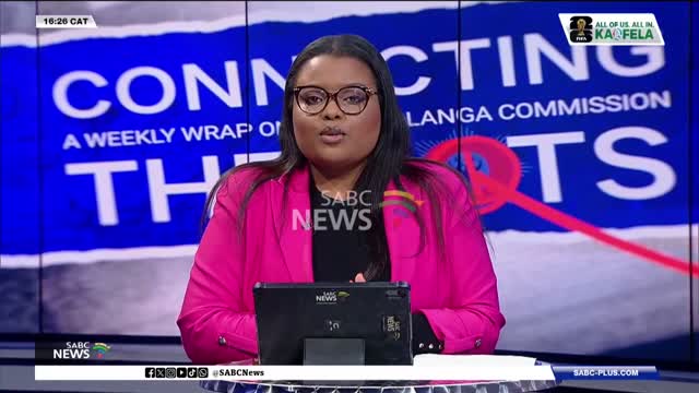 Cat Matlala to take hot seat at the Madlanga Commission 