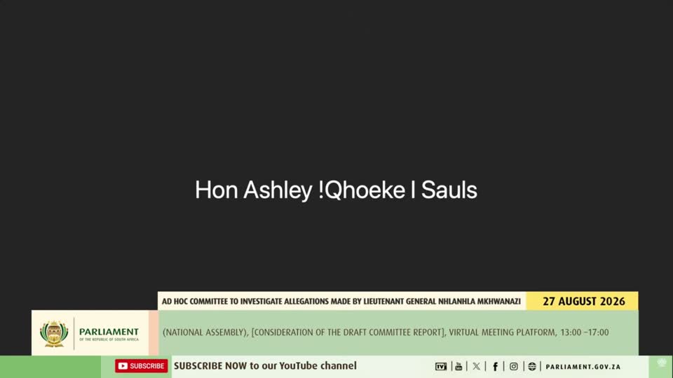 Ad Hoc Committee | Virtual meeting - 27 August 2026