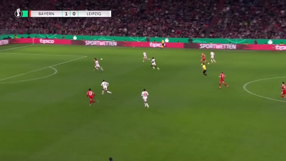 SportsWrap