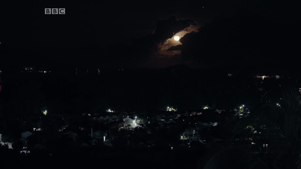 Seychelles, Heroin and  Me