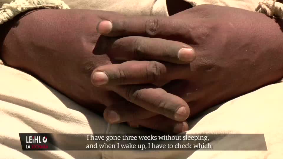 Foot and Mouth Disease Impact