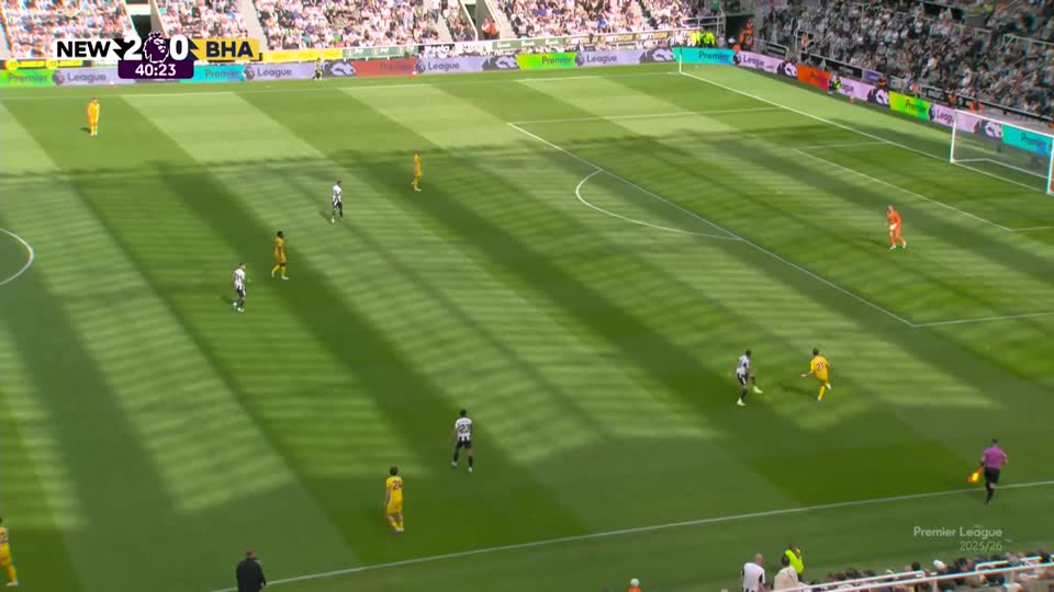 Newcastle vs Brighton