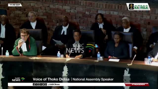 NA Speaker Thoko Didiza on Ramaphosa's impeachment