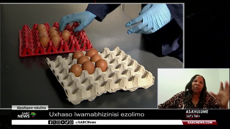 Challenges facing female farmers in South Africa