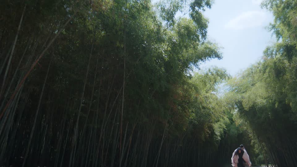 Episode 11