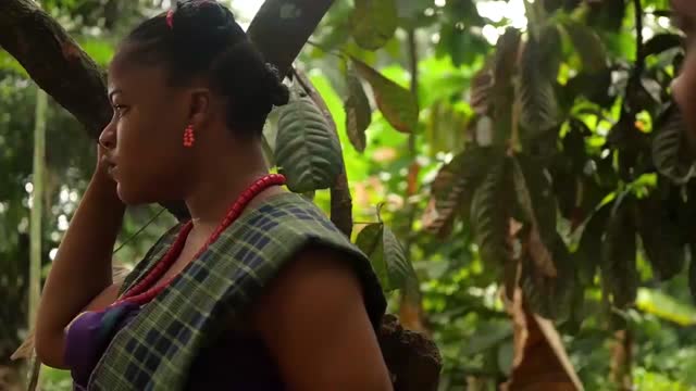 Show details-THE DANCE OF AKUKU NEW