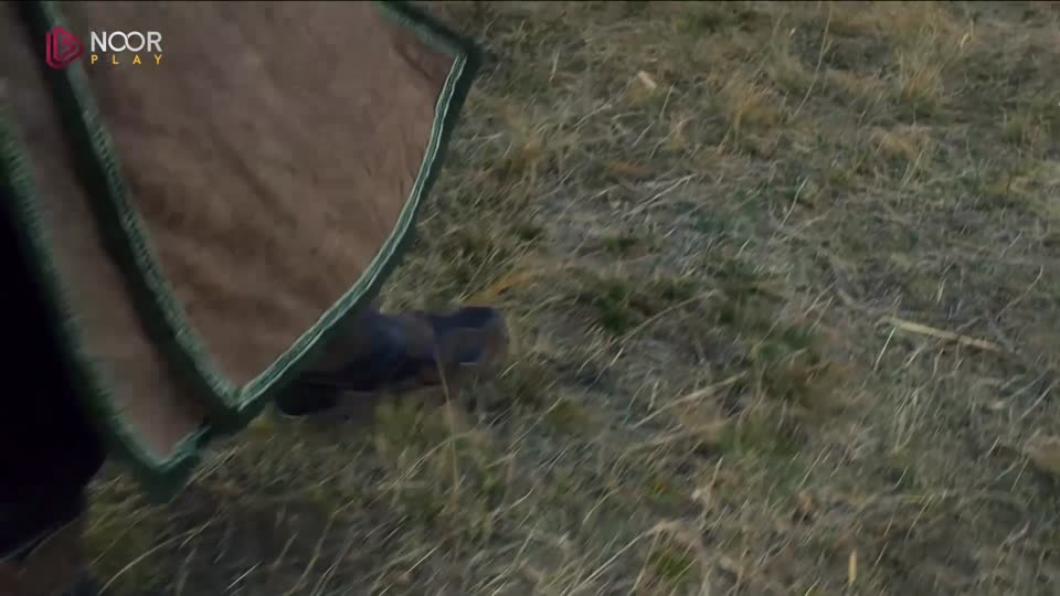 الفصل العاشر: الحشد الأبيض				