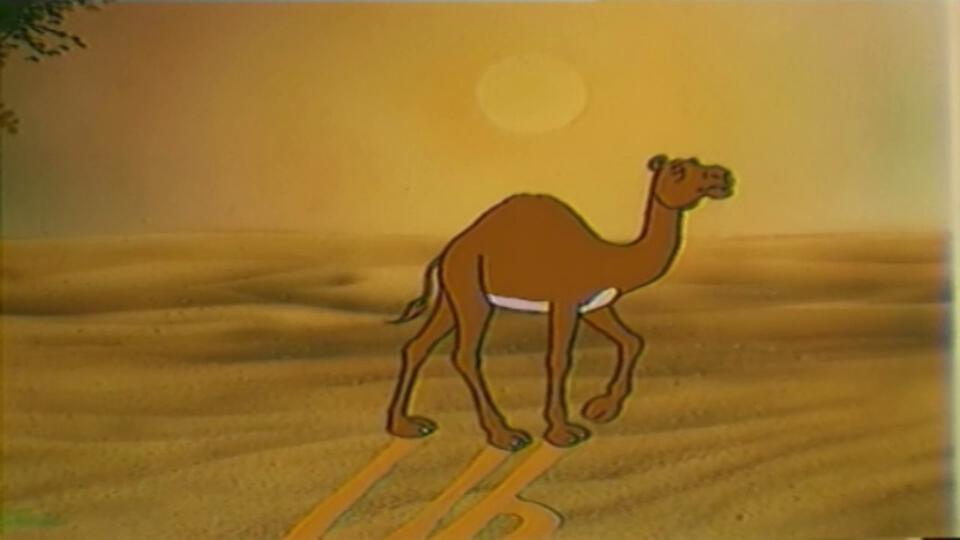 3- مغامرة في الصحراء