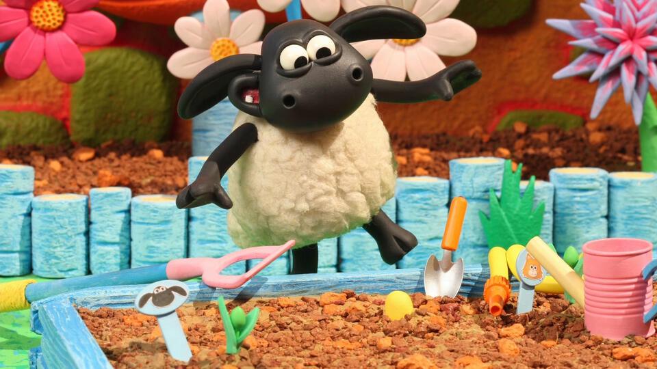 68- TIMMY’S EGG HEADS