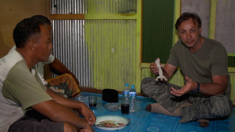 دراجون كومودو				