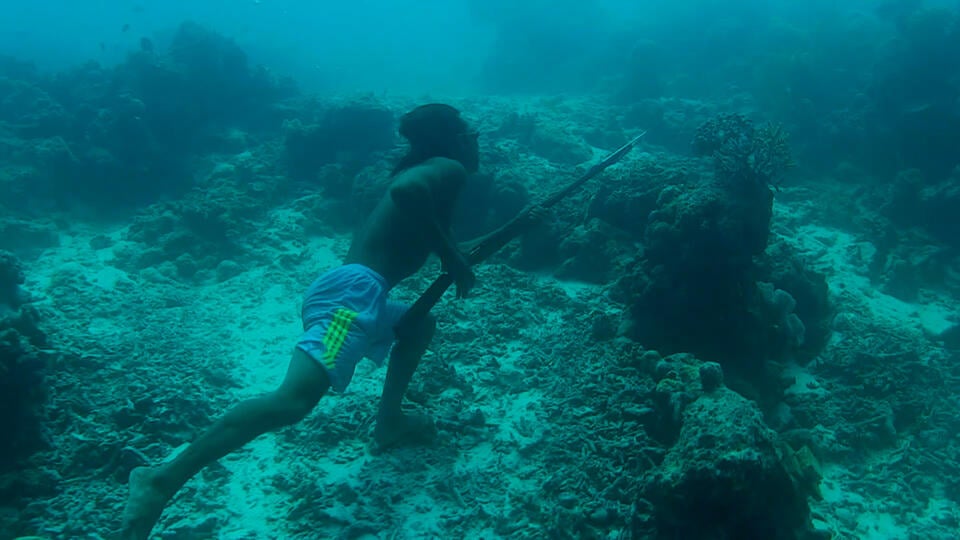 قبائل الباجاو				