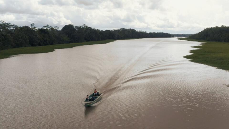 خفايا مخلوقات الأمازون - الجزء الأول