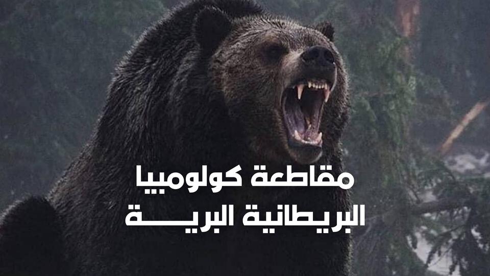 British Columbia Wilderness