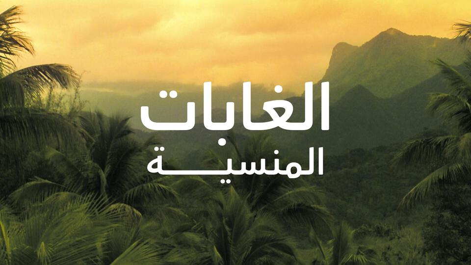 الغابات المنسية