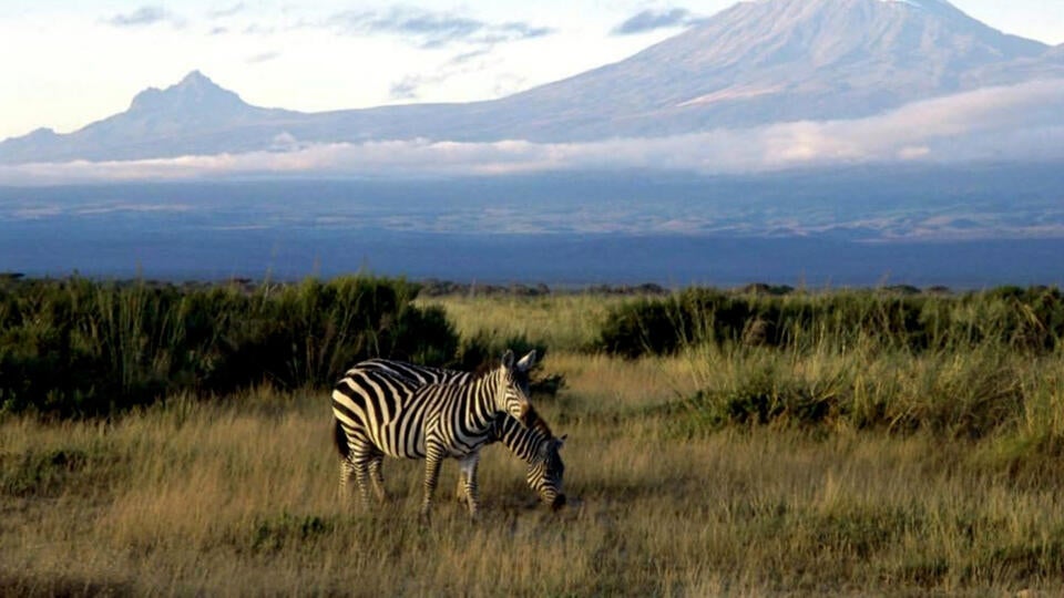 حديقة أمبوسيلي الوطنية