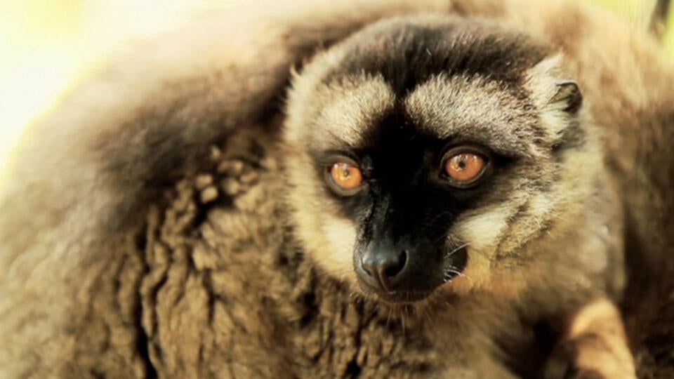 حديقة أنداسيب الوطنية