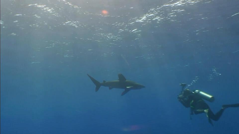 مخاطر البحر