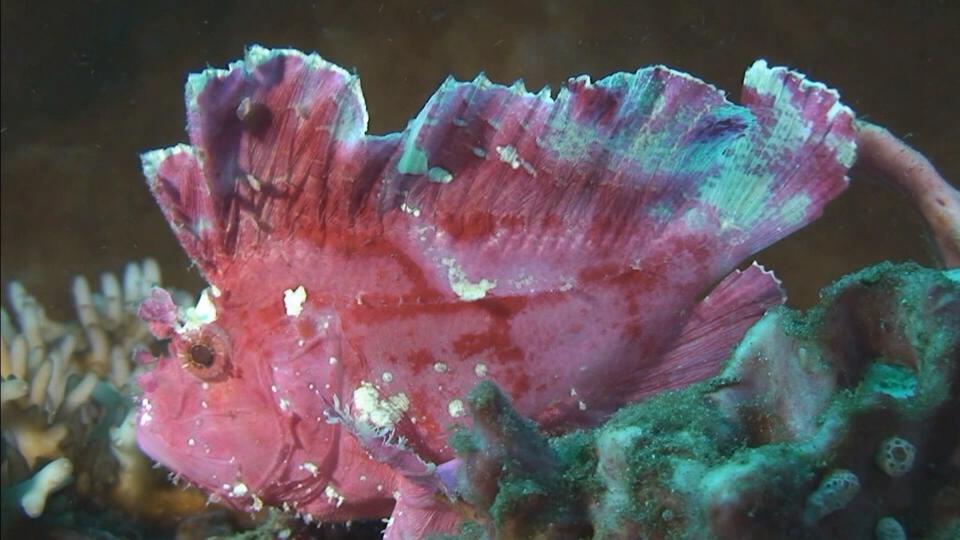 العالم غير المرئي