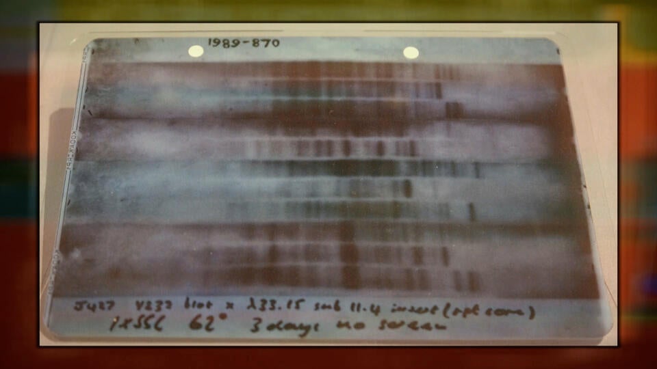 بصمات الأصابع الوراثية