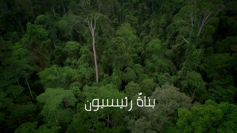 بناة رئيسيون