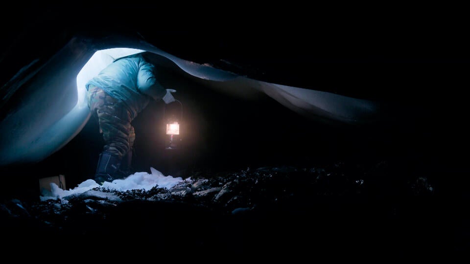 5- البرية القاهرة.. أمريكا الشمالية