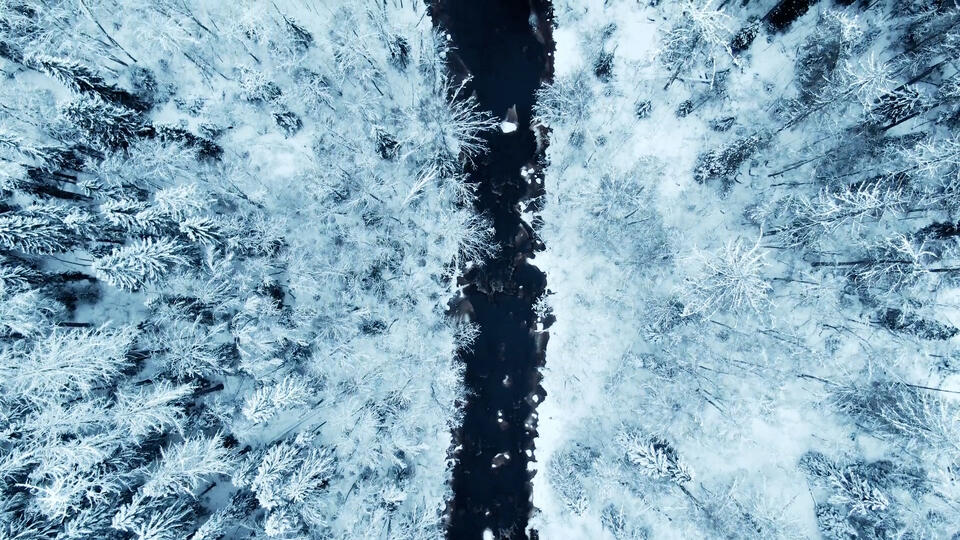 4- صغيرة بظروف مواتية.. أوروبا