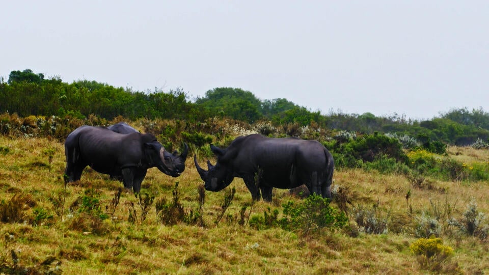 3- إشارات غير مرئية