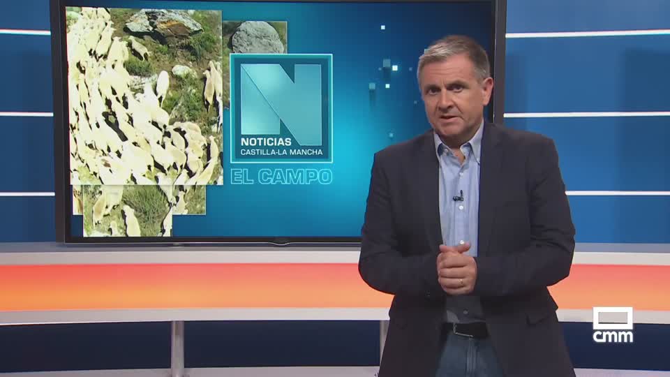 Tractoristas contra el fuego del incendio de La Mierla - 20∕07∕2026