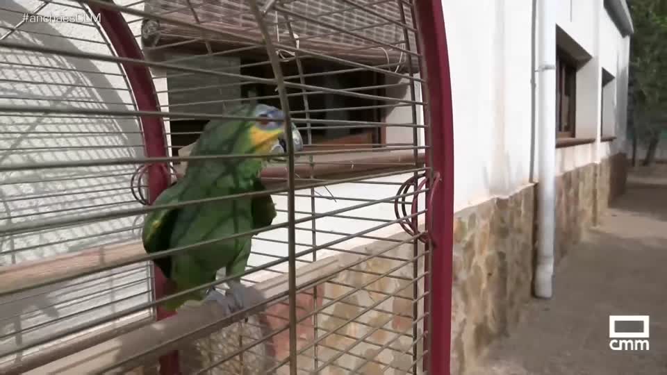 Conocemos el Centro de Recuperación de fauna silvestre de Albacete