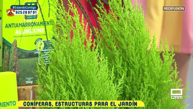 ESTANDO CONTIGO