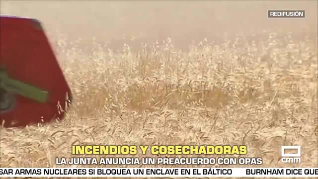 EL CAMPO (2026)