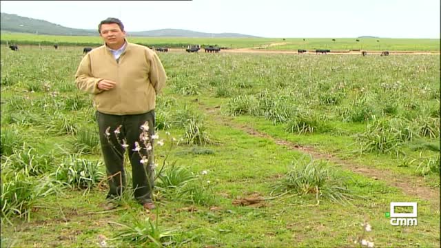 NUESTRO CAMPO BRAVO (2ª TEMPORADA 2006)