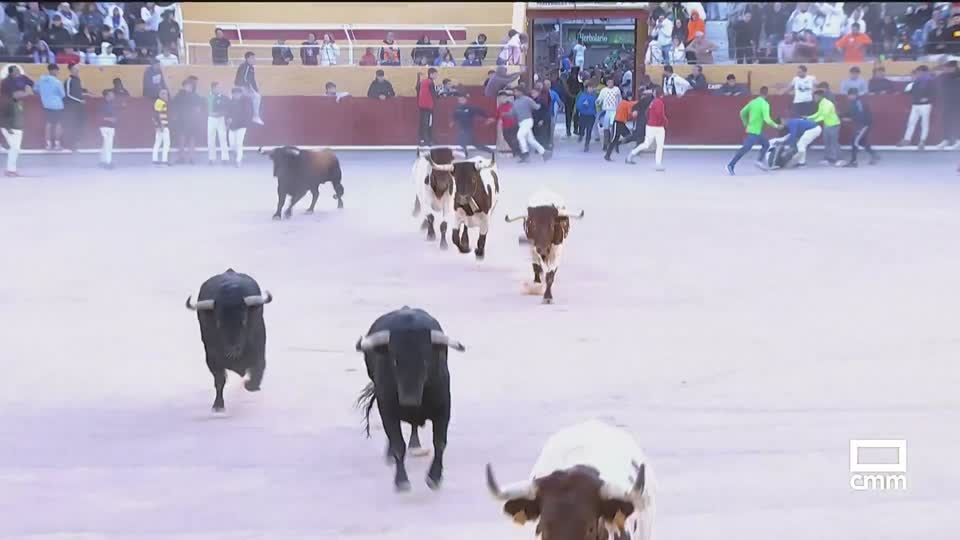 Segundo encierro desde Guadalajara 2024 (13/09/2024)