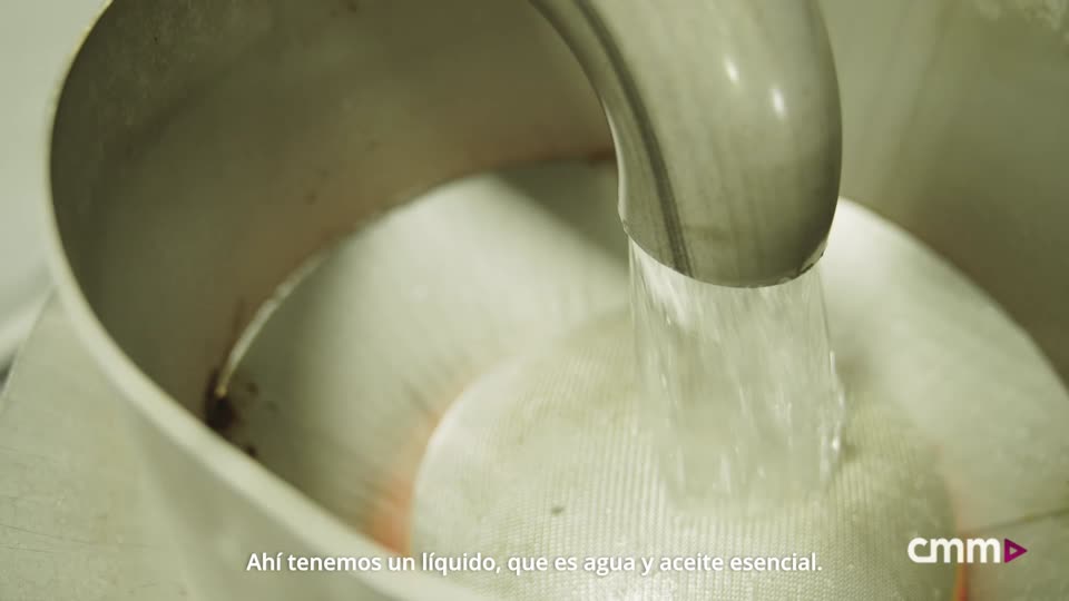 La lavanda, esencia de un cambio