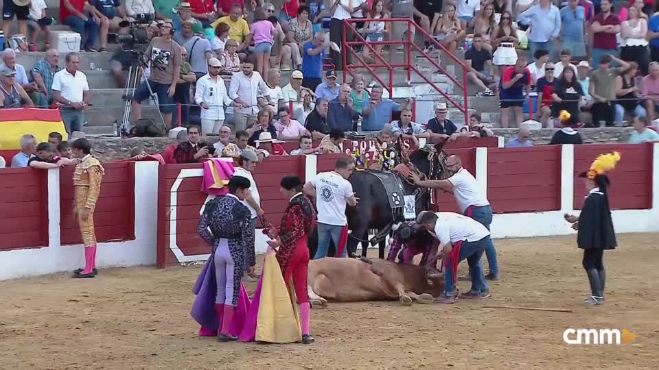 Toros desde Pozuelo de Calatrava 18∕07∕2026