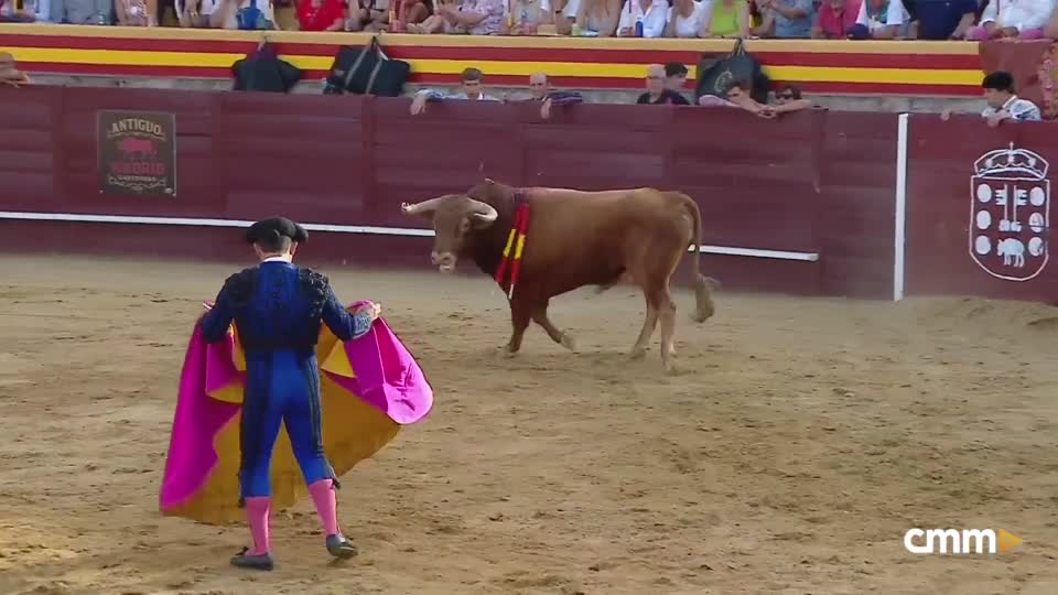 Novillada con picadores desde Rozas de Puerto Real
