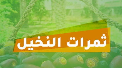 program-img-225757-فوازير ثمرات النخيل