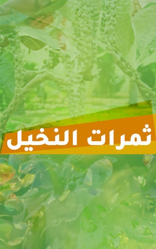 فوازير ثمرات النخيل