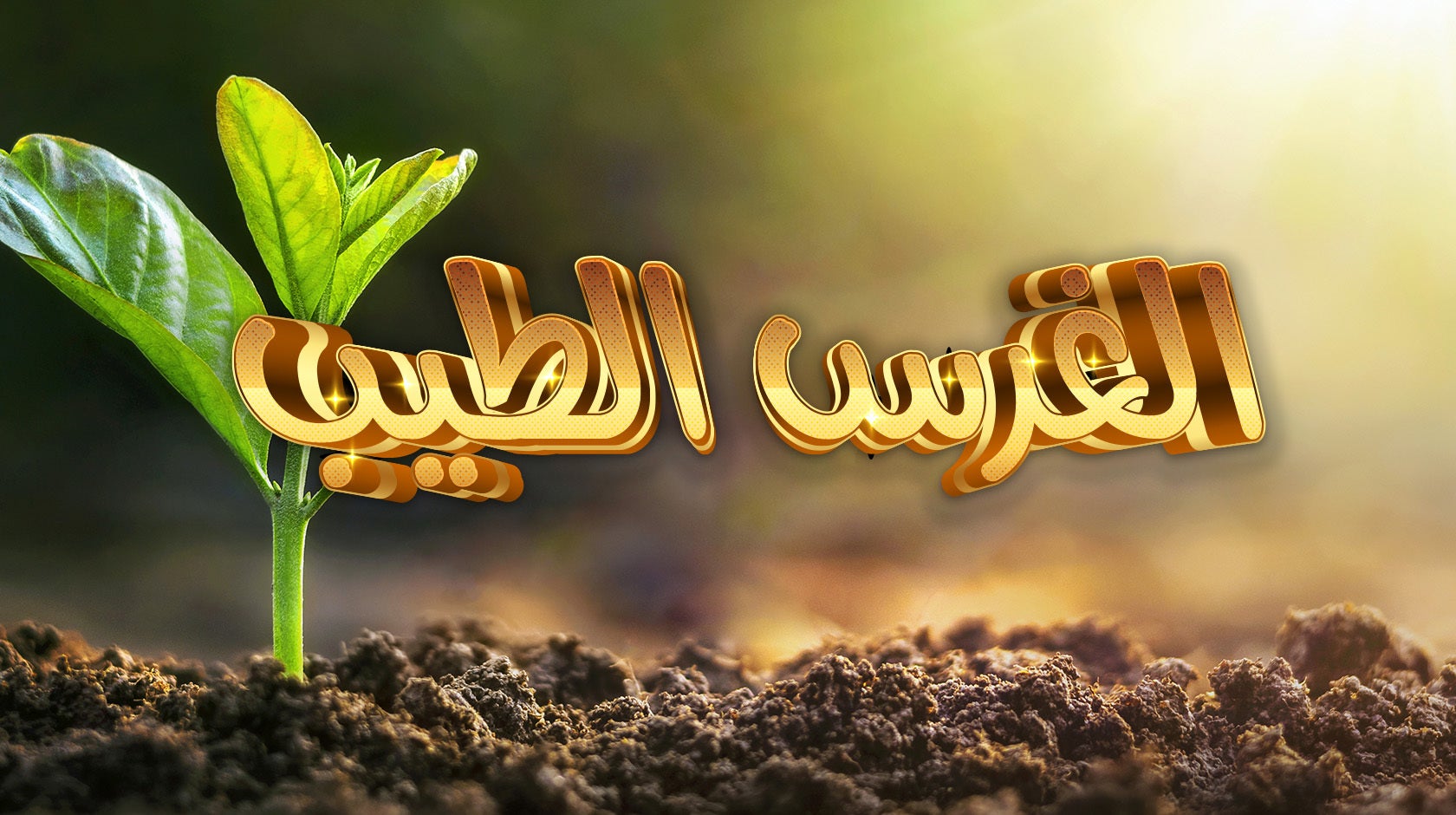 الغرس الطيب