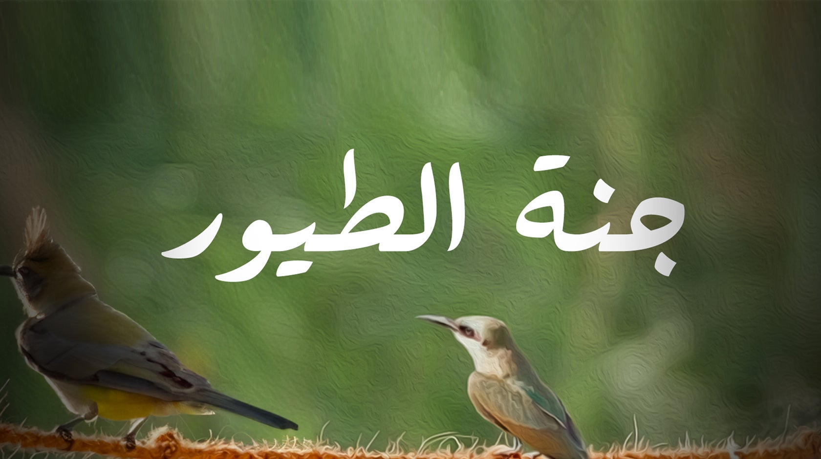 جنة الطيور