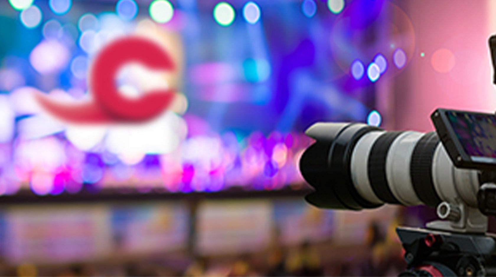 تغطيات خاصة-0