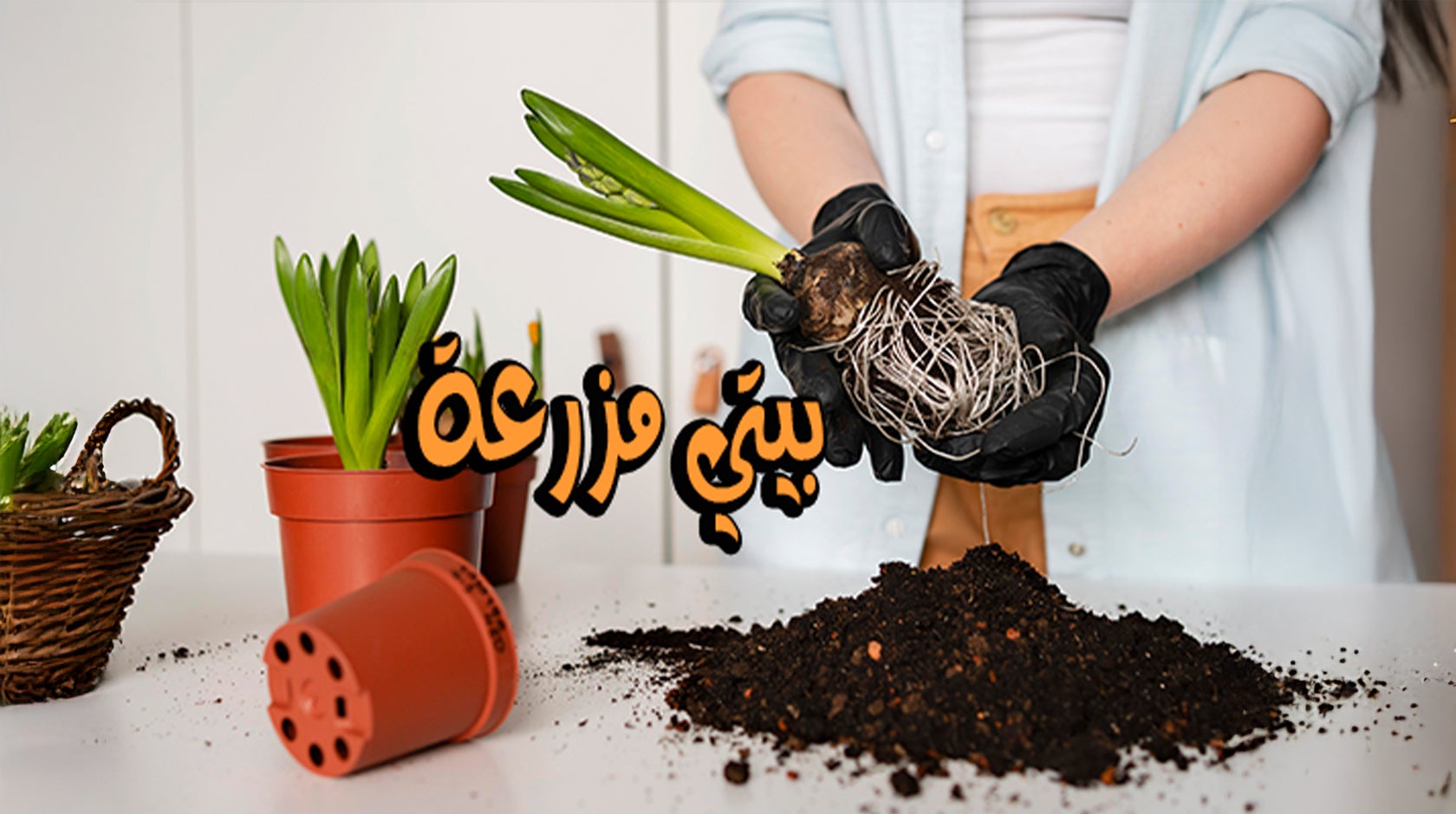 بيتي مزرعة