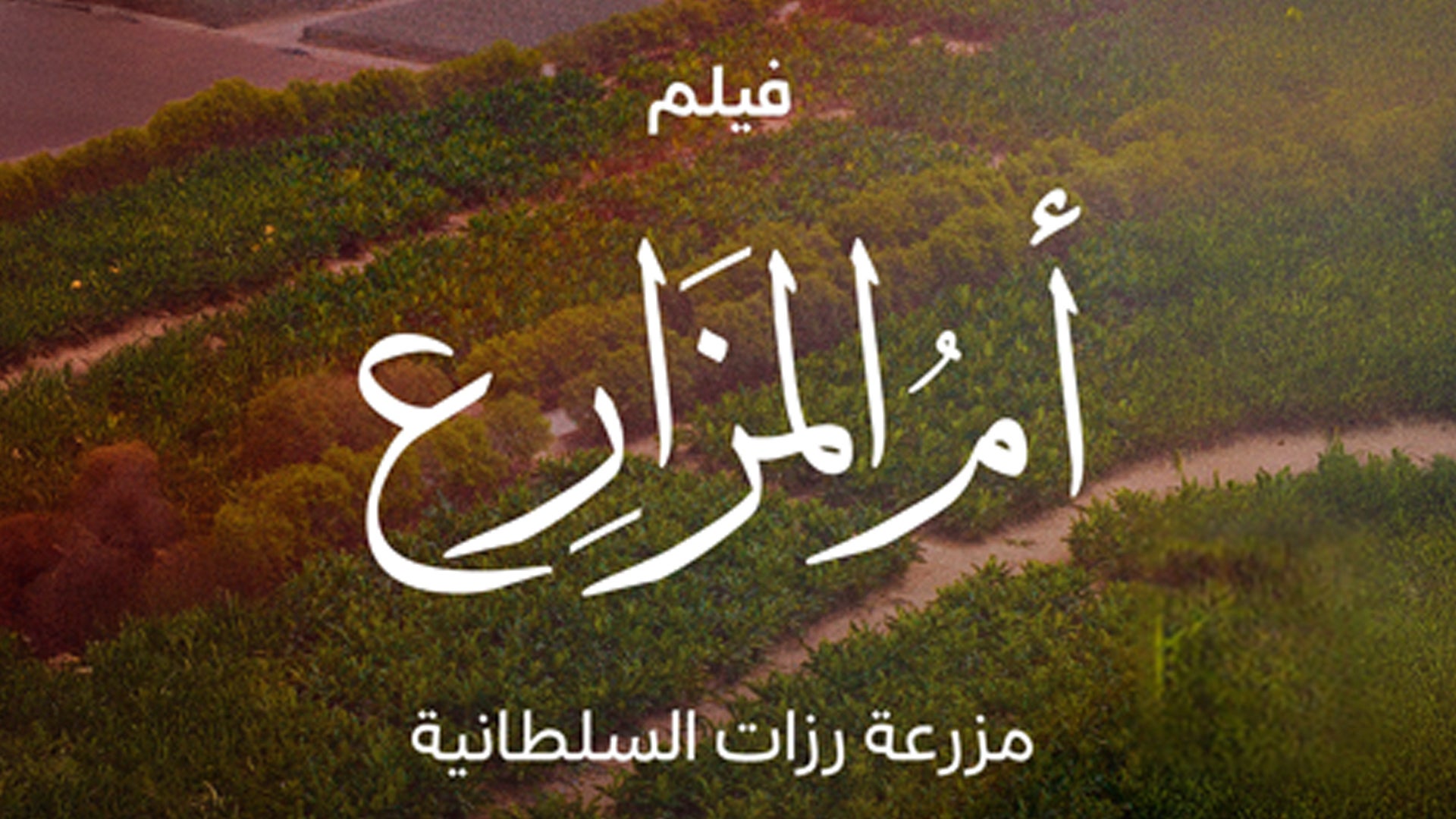 فيلم أم المزارع مزرعة رزات
