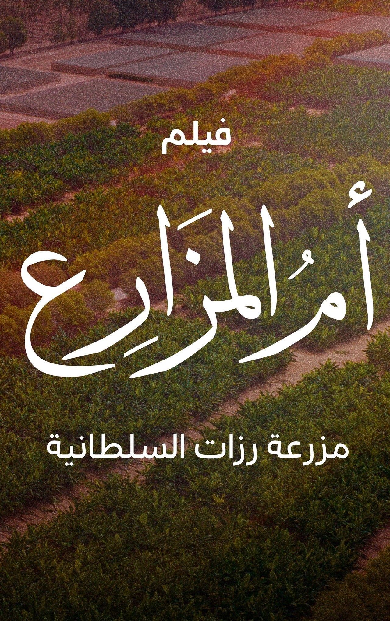 فيلم أم المزارع مزرعة رزات-2