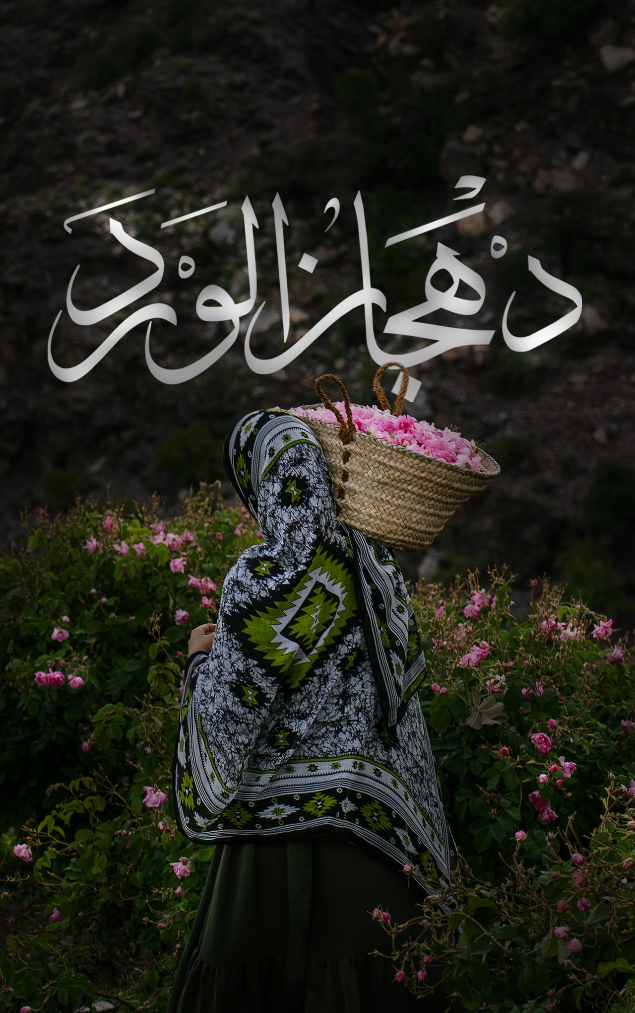 دهجان الورد-0