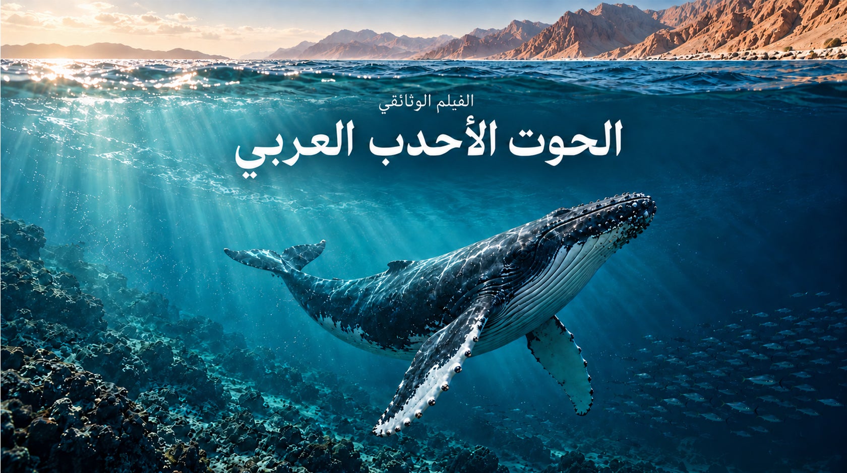 الفيلم الوثائقي الحوت الأحدب العربي