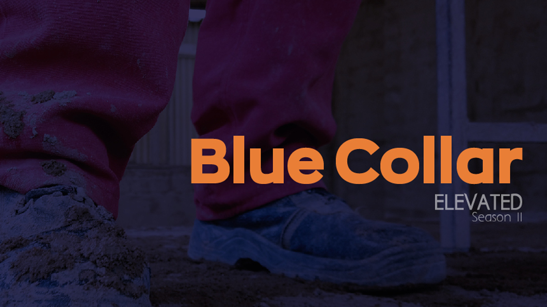 Now! - Never A Dull Moment! - Blue Collar Elevated