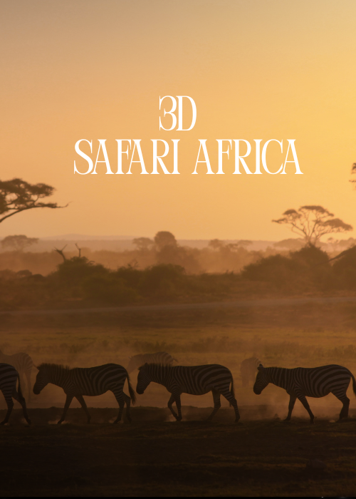 3D Safari Africa