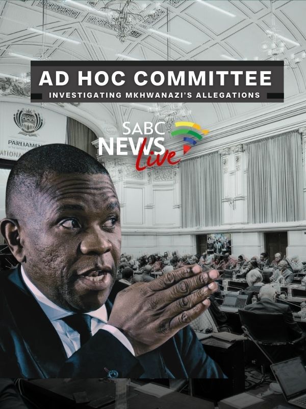 Parliament Ad Hoc Committee 