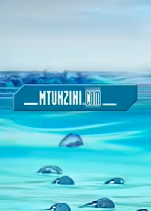 Mthunzini.com